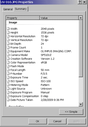 Exif Properties