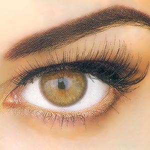  Makeup  Dark Brown Eyes on Makeup Tips For Brown Eyes