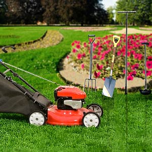 Garden Maintenance on Garden Maintenance