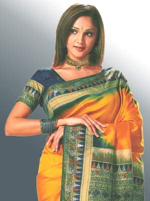 Indian Saree clad Woman