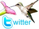 Follow us in Twitter