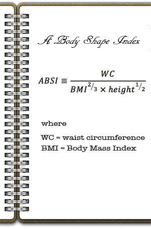 A Body shape Index - ABSI formula