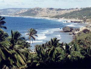 Barbados Vacation