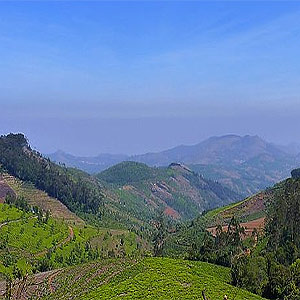 Cameron Highlands