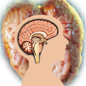 Cerebral Palsy