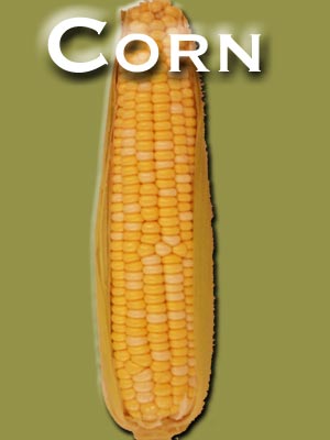 Cooking Corn on the Cob