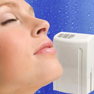 Choosing a Dehumidifier