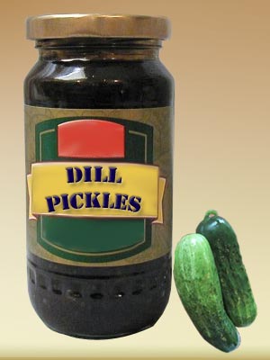 Dill Pickle