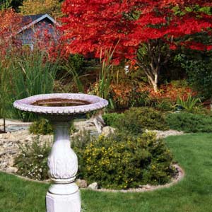 Feng Shui Garden