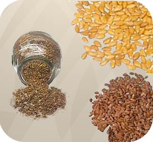 Flax Seed