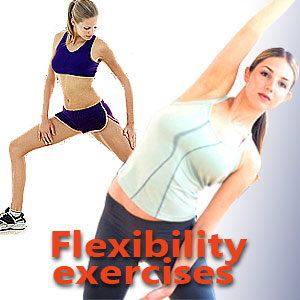 Flexibility Exercise Program