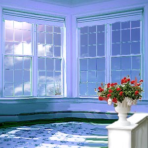 French Window