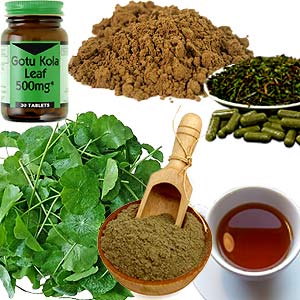 Gotu Kola Benefits