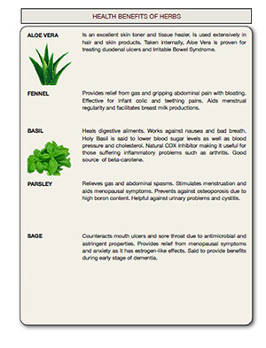 Download the Health benefits of Herbs table