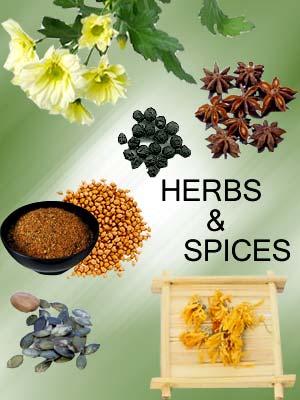 Herbs And Spice