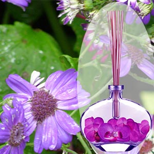 Home Fragrance Diffuser