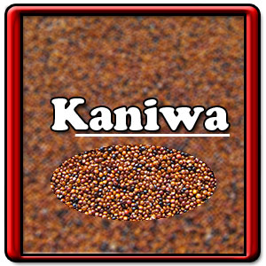 Kaniwa