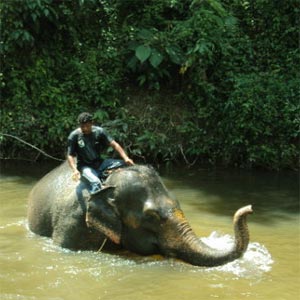 Laos Sightseeing