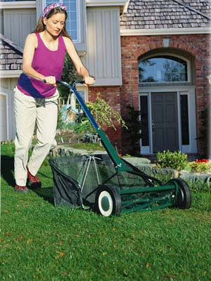 Lawn Maintenance Tips