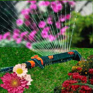 Lawn Sprinkler System