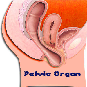 Pelvic Organ Prolapse