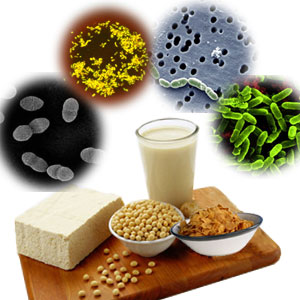 Probiotic Food