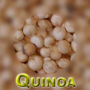 Quinoa Nutrition