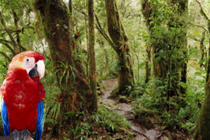 Travel to Costa Rica