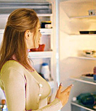 Refrigerator Maintenance