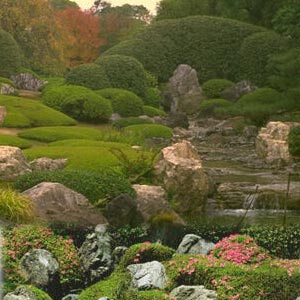 Rock Garden