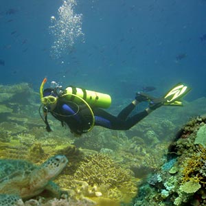 Scuba Diving Vacation