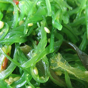 Seaweed Nutrition
