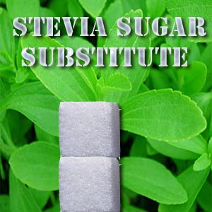 Stevia Sugar Substitute