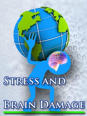 Stress and Brain Damage