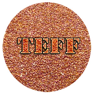 Teff Nutrition