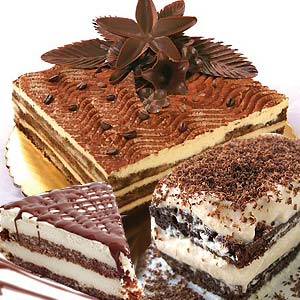 Tiramisu Cake