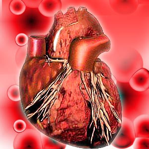 Women Heart Disease Statistics