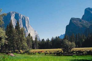 Yosemite National Park