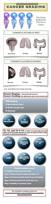 Infographics on Cancer Staging and Grading